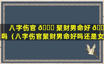 八字伤官 🐘 聚财男命好 🐬 吗（八字伤官聚财男命好吗还是女命）